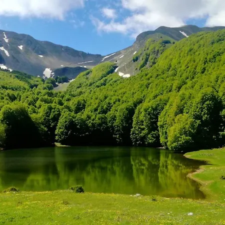 Hotel Ristorante Terry